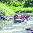 Colorado River Runs